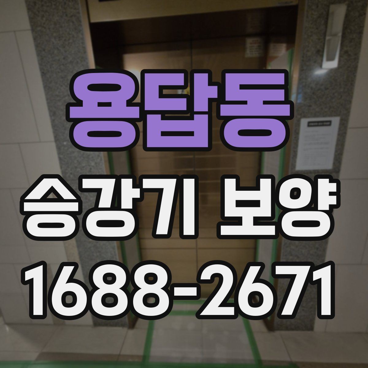 용답동 승강기 보양 검토 시 업체별 차이 비교