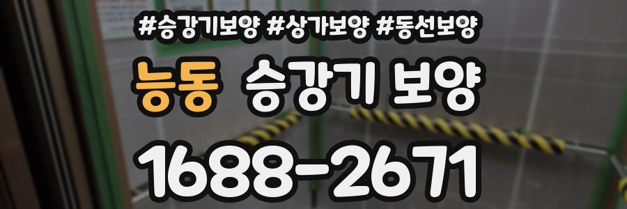 능동 승강기 보양