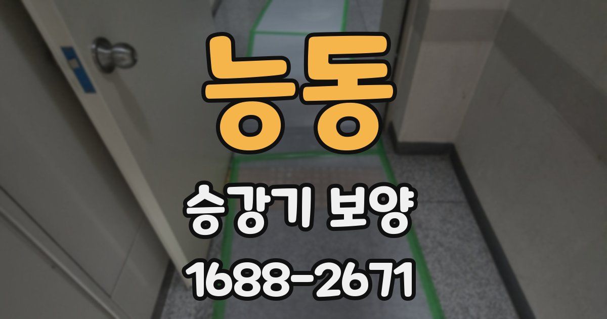 능동 승강기 보양
