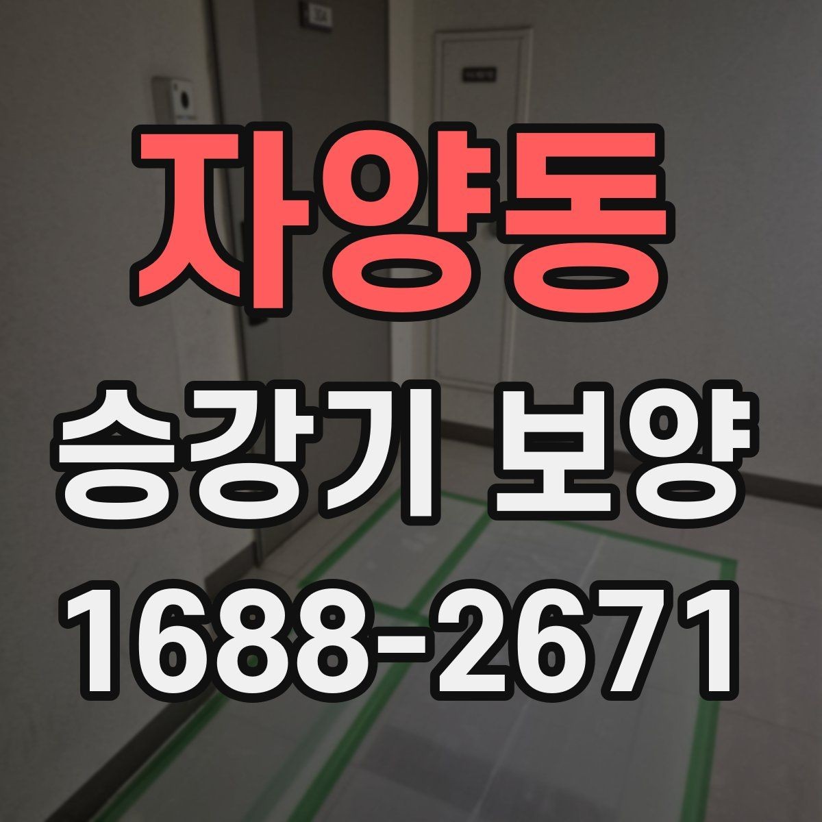 자양동 승강기 보양 후 보수 필요 여부를 판단하는 법