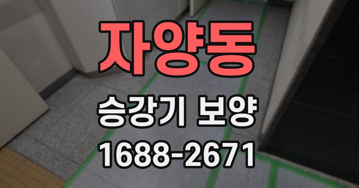 자양동 승강기 보양