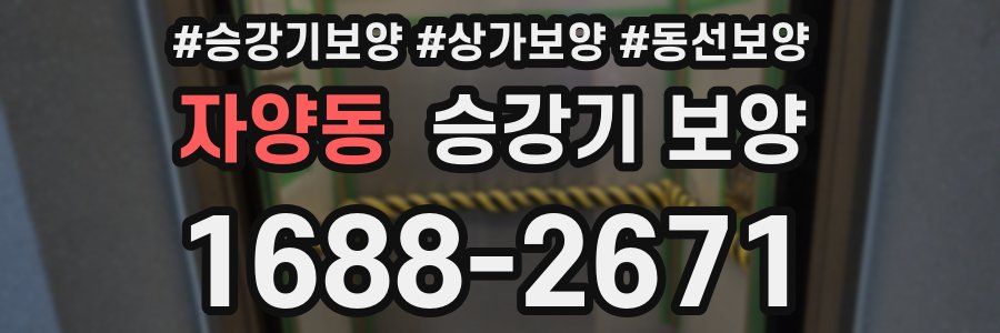자양동 승강기 보양