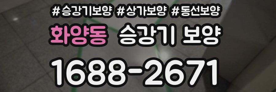 화양동 승강기 보양