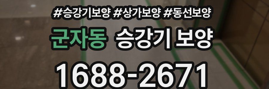 군자동 승강기 보양