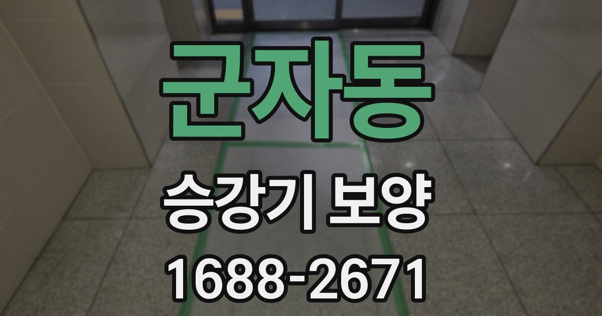 군자동 승강기 보양