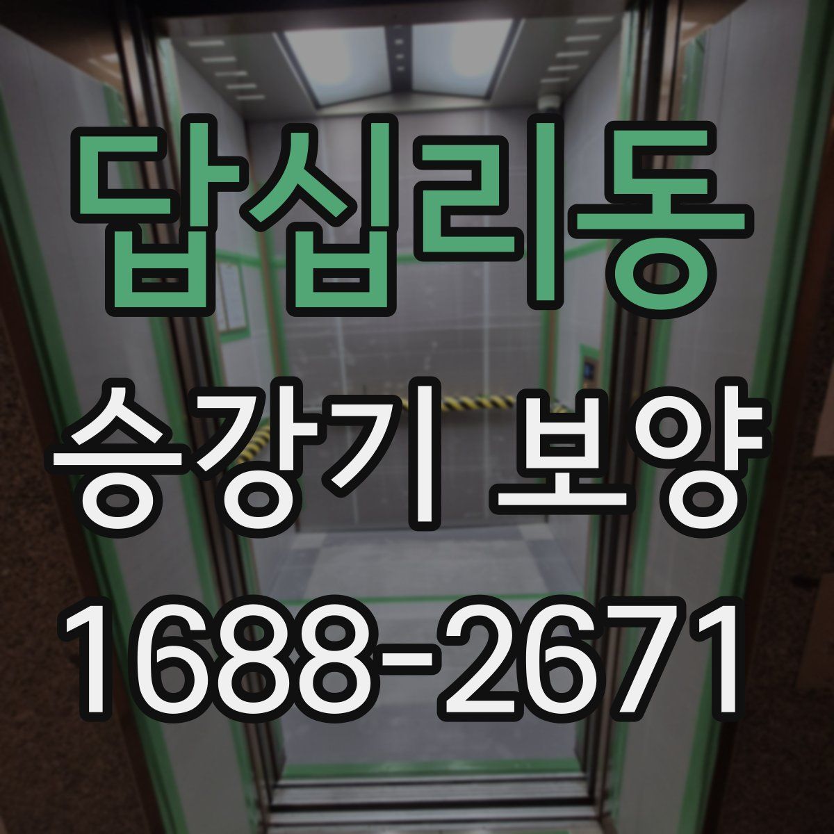 답십리동 승강기 보양