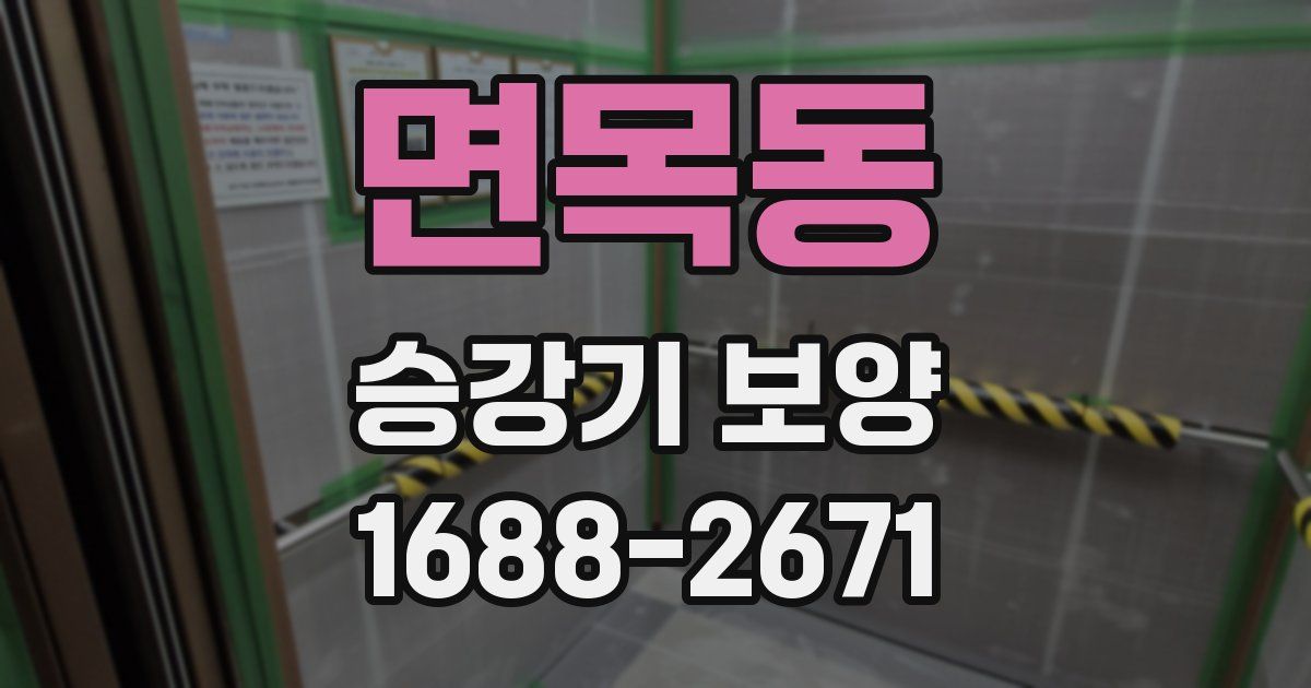 면목동 승강기 보양