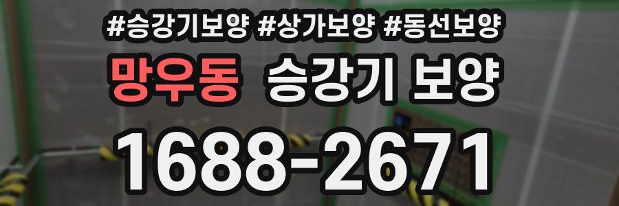 망우동 승강기 보양