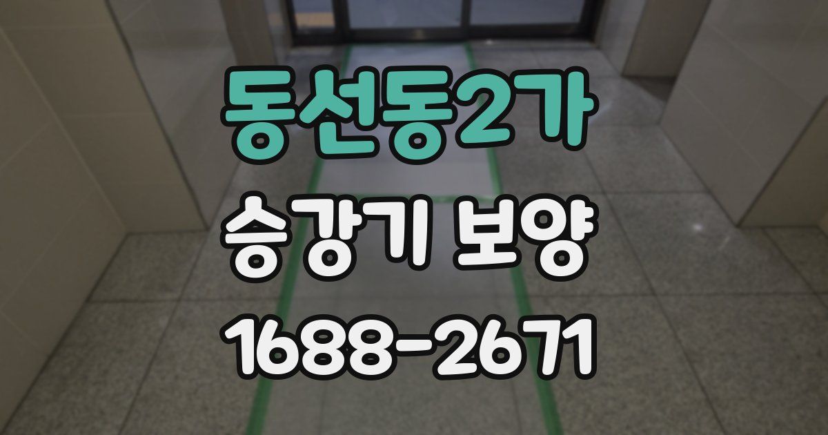 동선동2가 승강기 보양