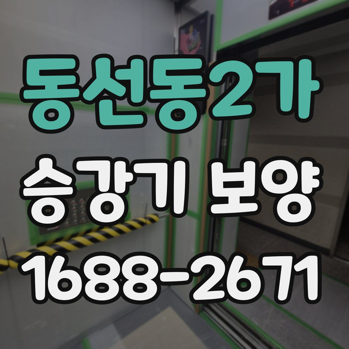 동선동2가 승강기 보양