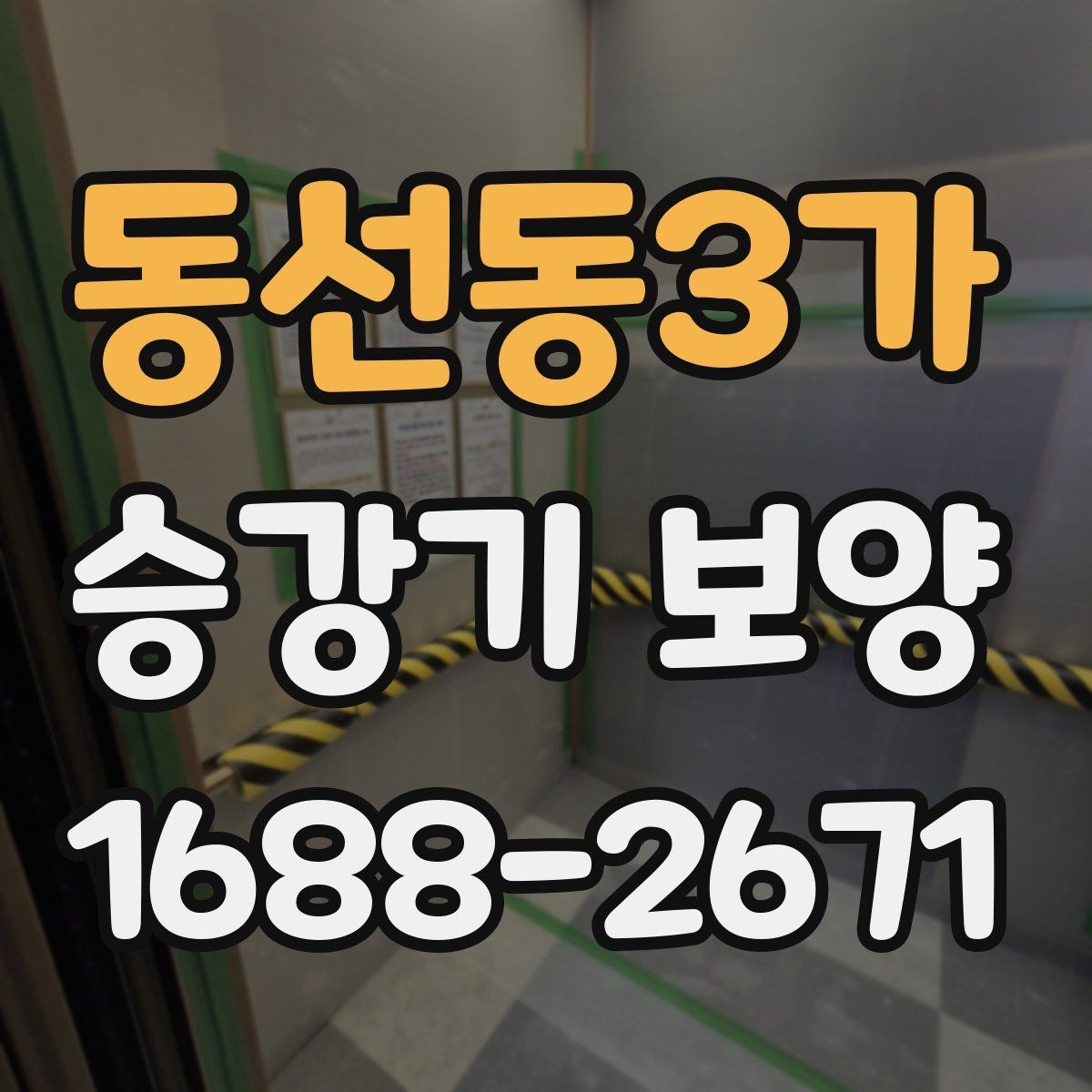 동선동3가 승강기 보양 시 보호 범위를 정하는 기준