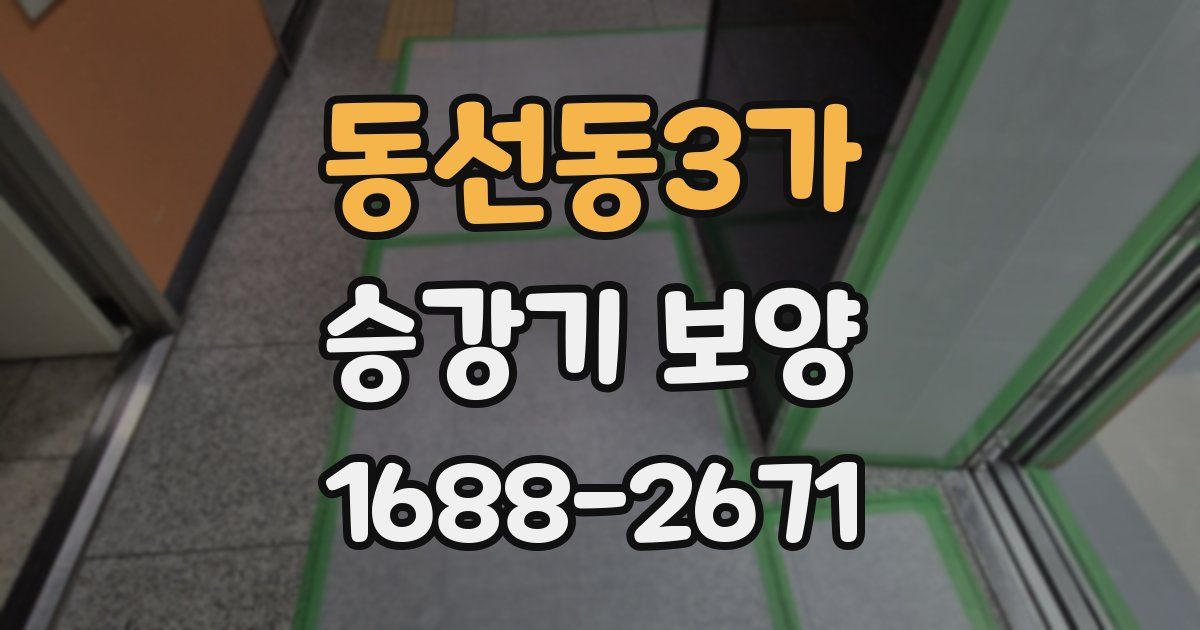 동선동3가 승강기 보양
