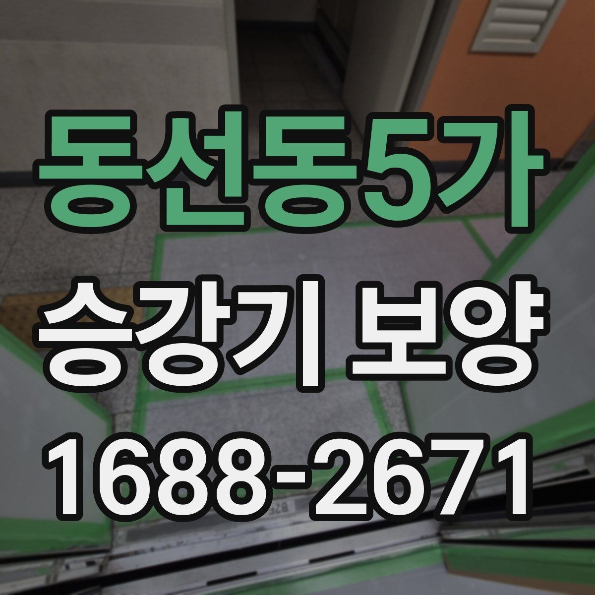 동선동5가 승강기 보양 공정에서 흔한 실수와 예방