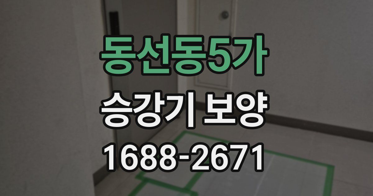 동선동5가 승강기 보양