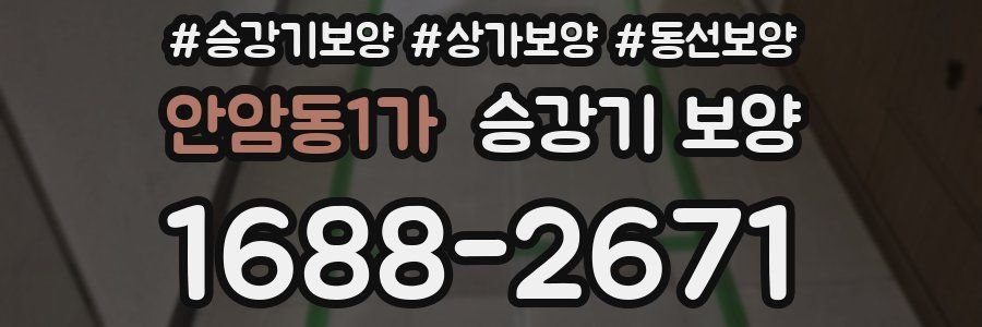 안암동1가 승강기 보양