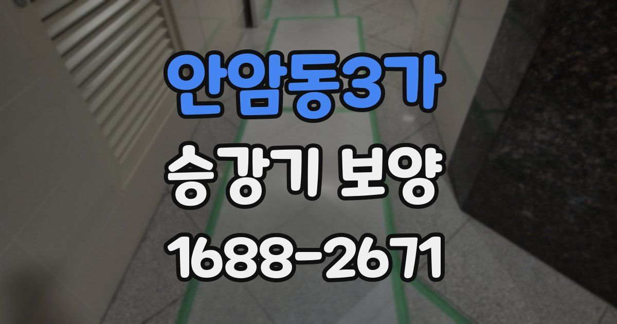 안암동3가 승강기 보양
