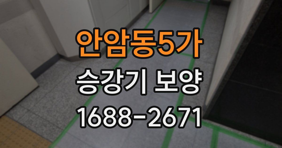 안암동5가 승강기 보양