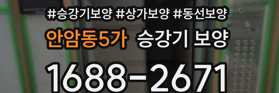 안암동5가 승강기 보양