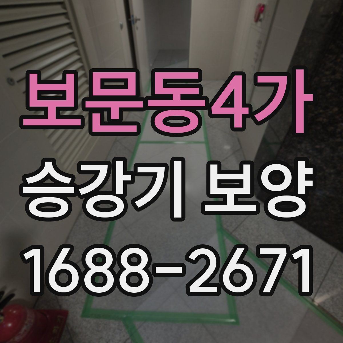 보문동4가 승강기 보양 관련 현장 문의 답변 모음