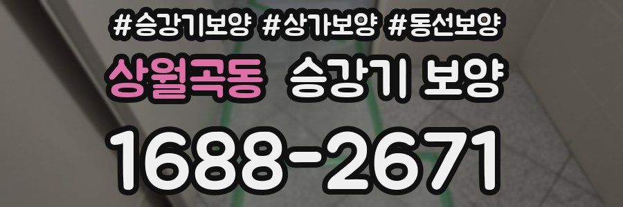상월곡동 승강기 보양