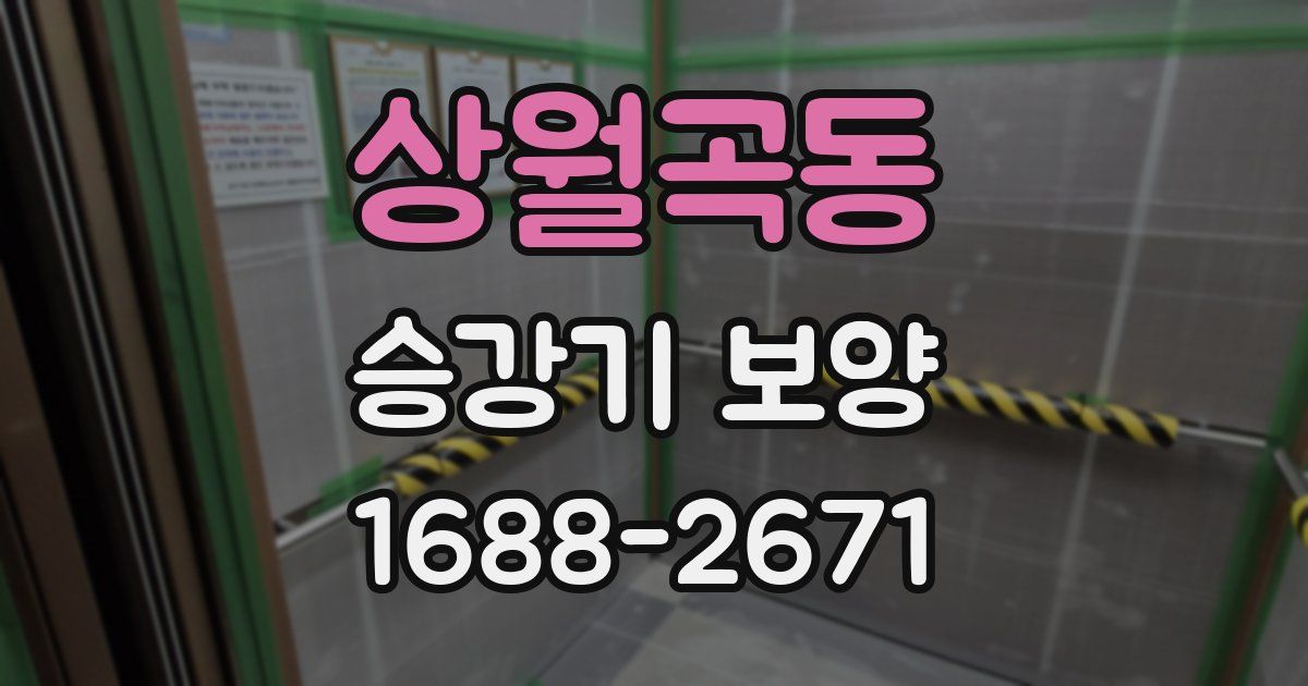 상월곡동 승강기 보양