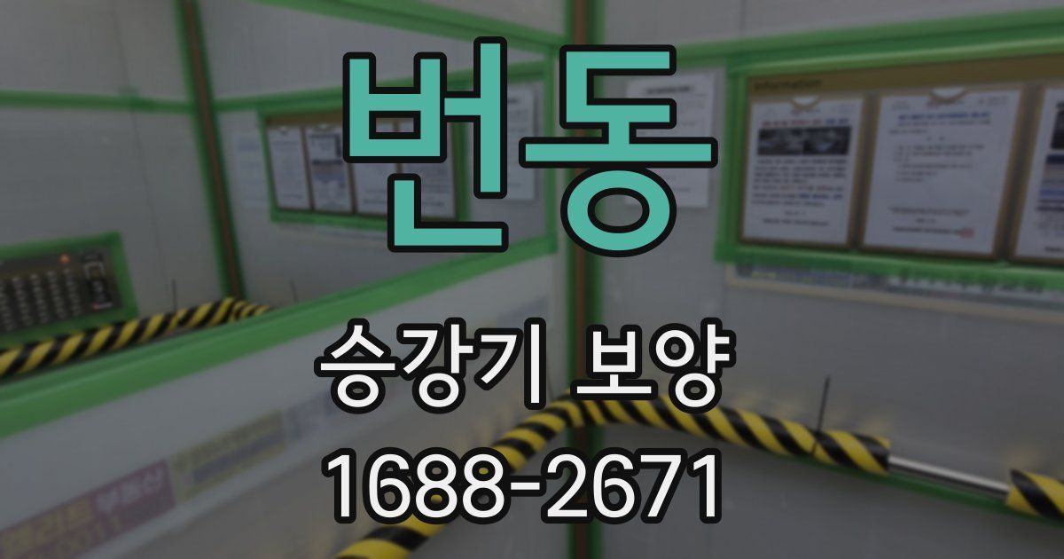 번동 승강기 보양