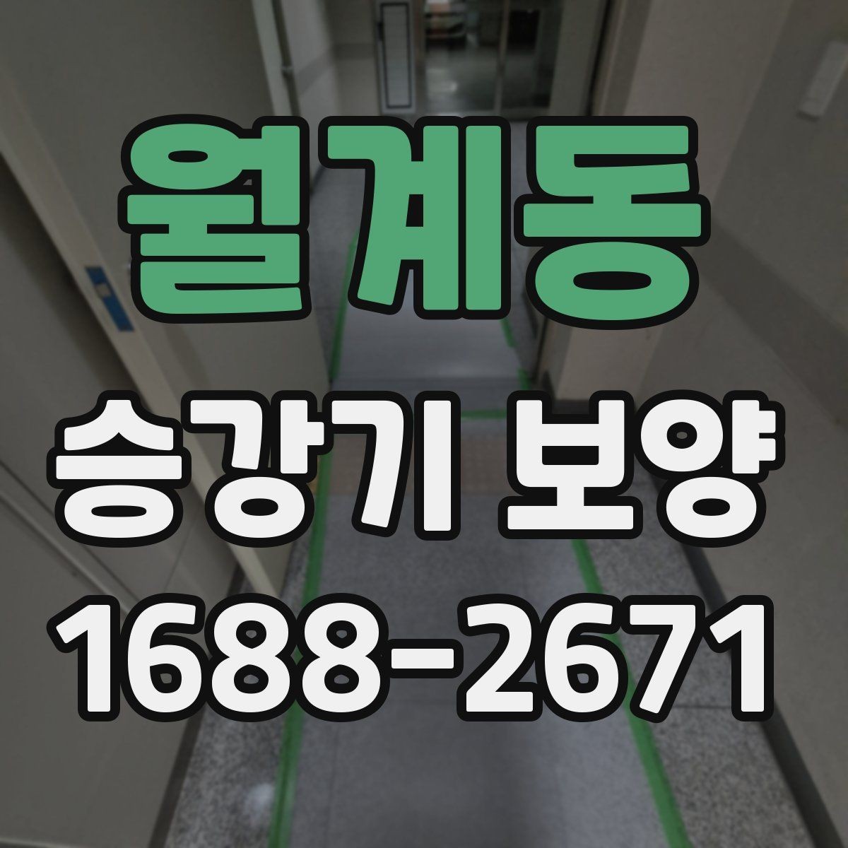 월계동 승강기 보양 현장 관리 경험이 중요한 이유