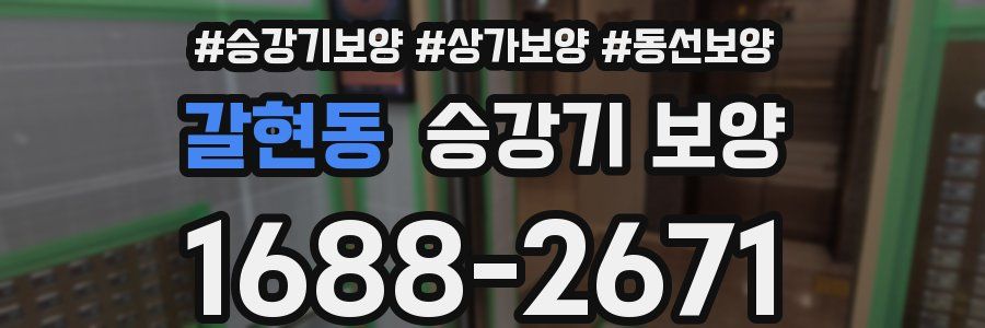갈현동 승강기 보양