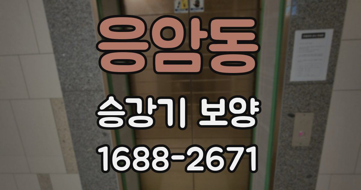 응암동 승강기 보양
