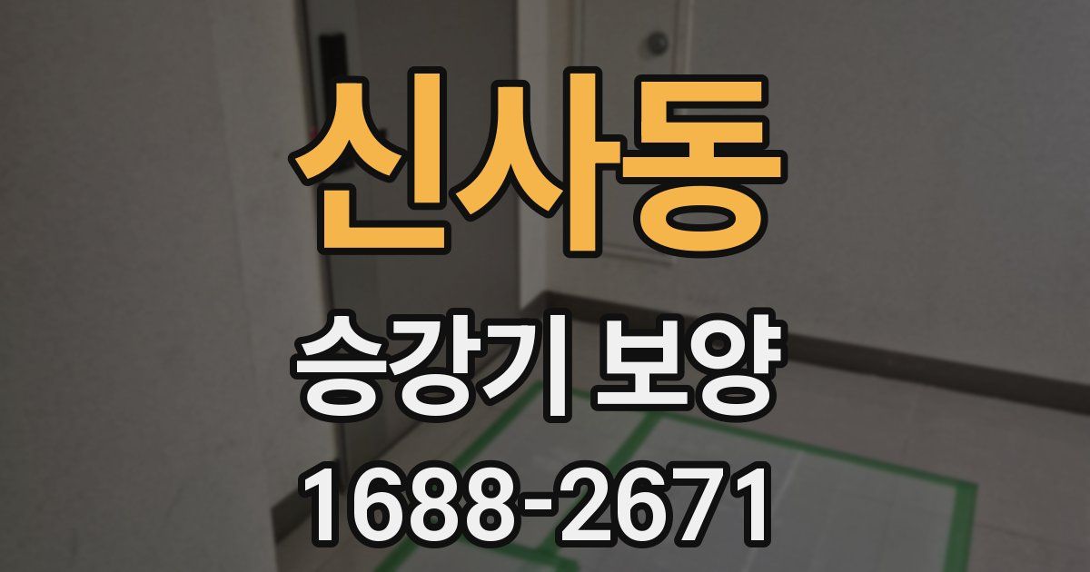신사동 승강기 보양