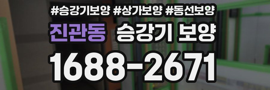 진관동 승강기 보양