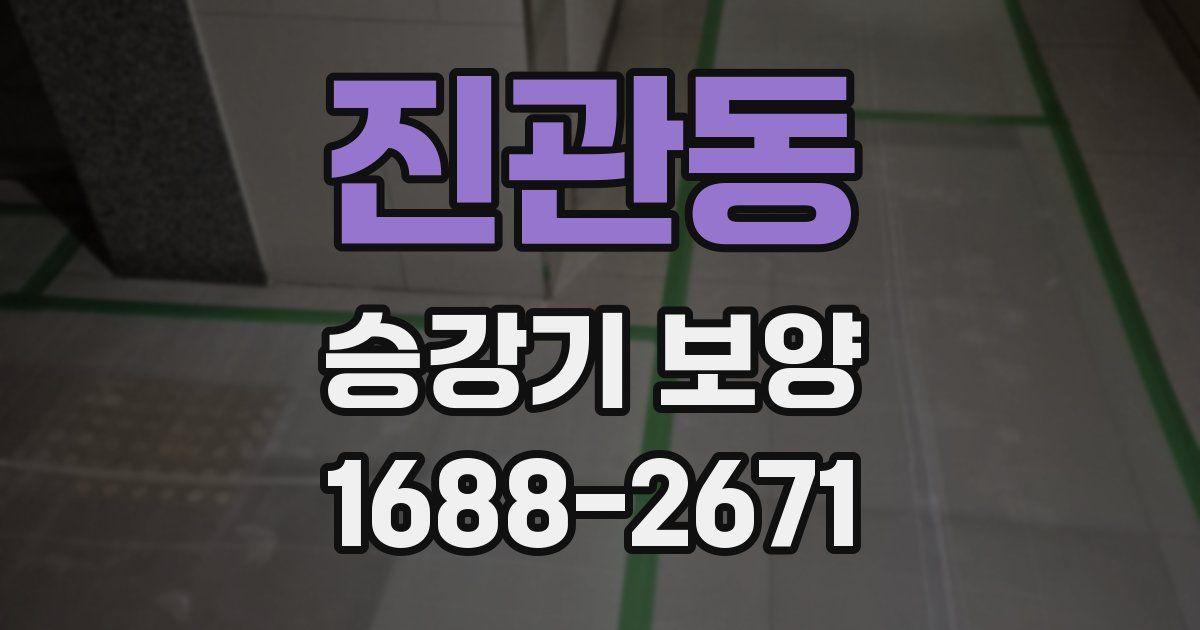 진관동 승강기 보양
