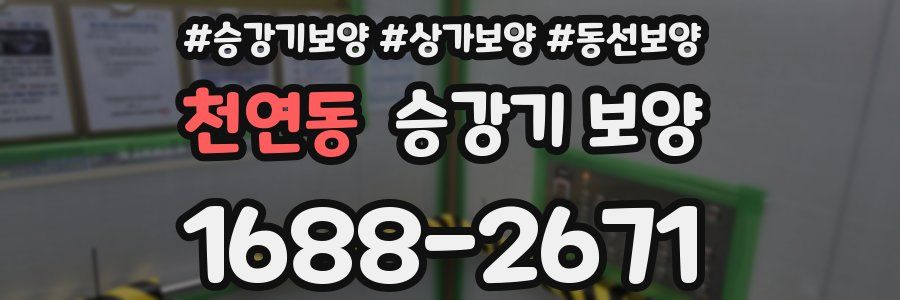 천연동 승강기 보양