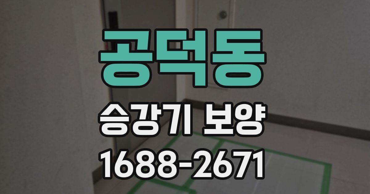 공덕동 승강기 보양