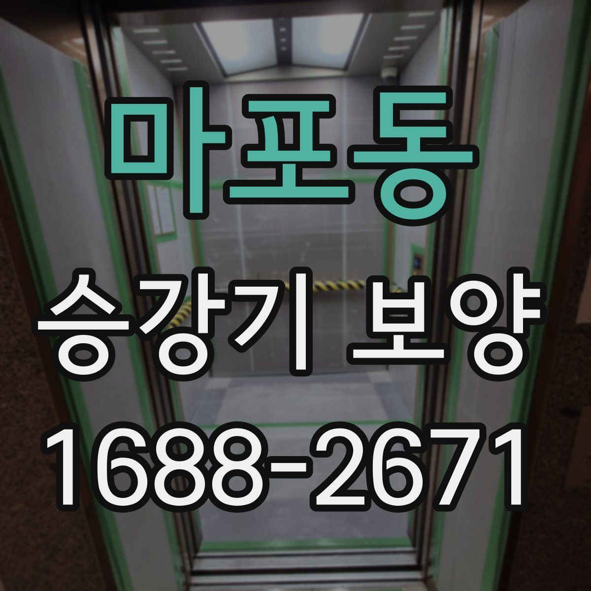 마포동 승강기 보양