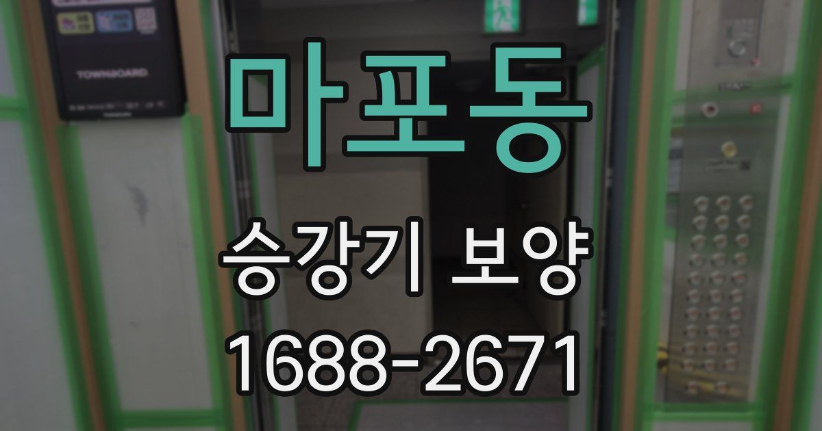 마포동 승강기 보양