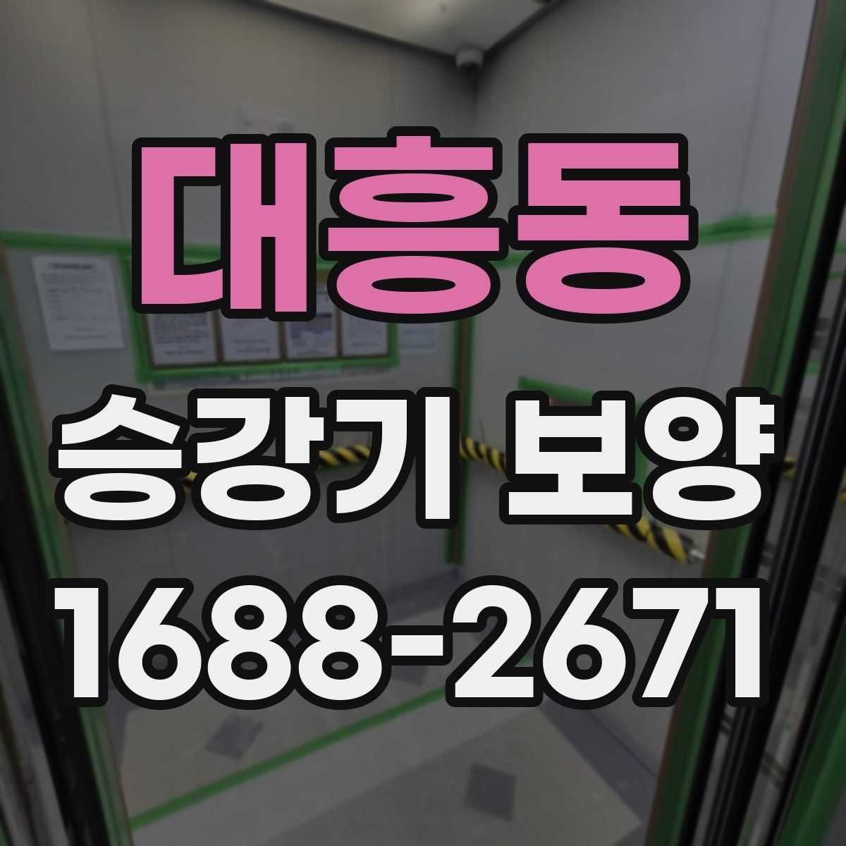 대흥동 승강기 보양