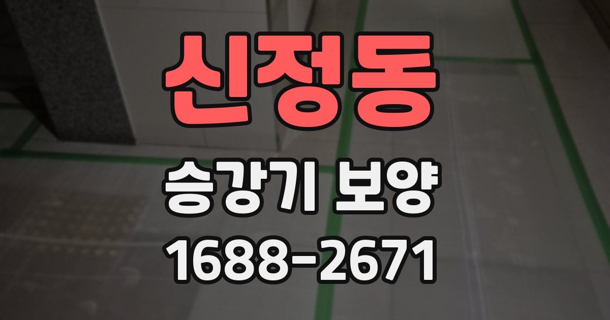 신정동 승강기 보양