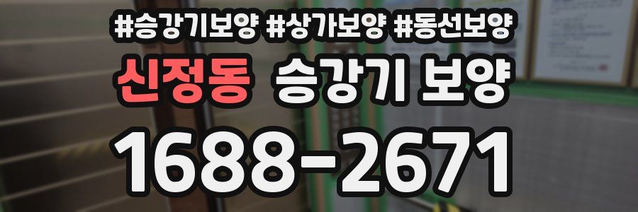 신정동 승강기 보양