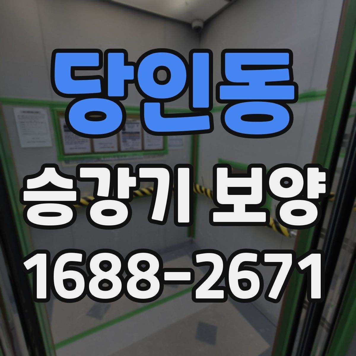 당인동 승강기 보양 현장 사진으로 보는 진행 과정