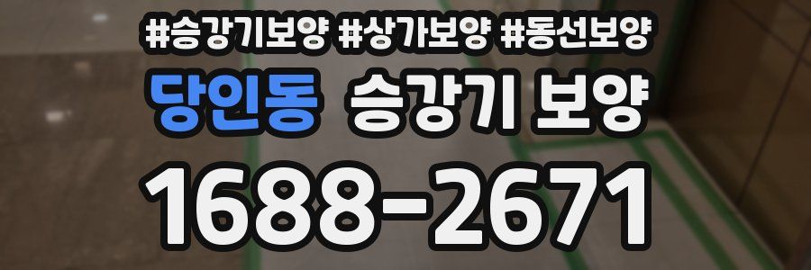 당인동 승강기 보양
