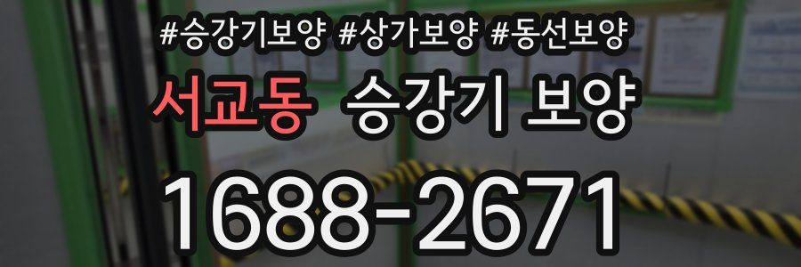 서교동 승강기 보양