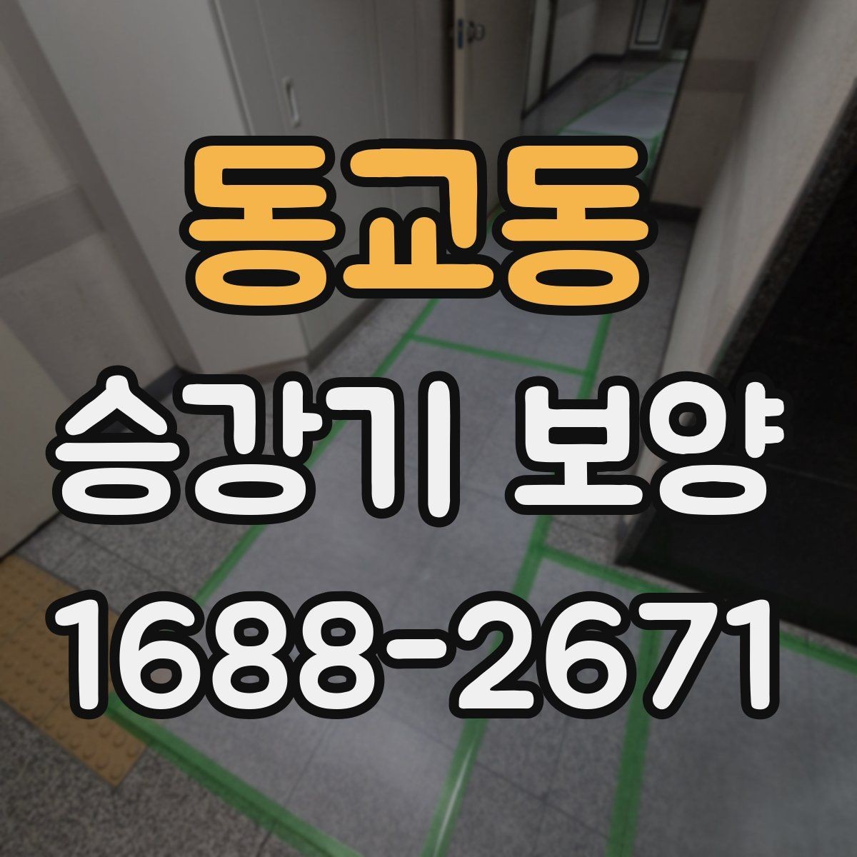 동교동 승강기 보양 업체 선택 전 확인할 사항