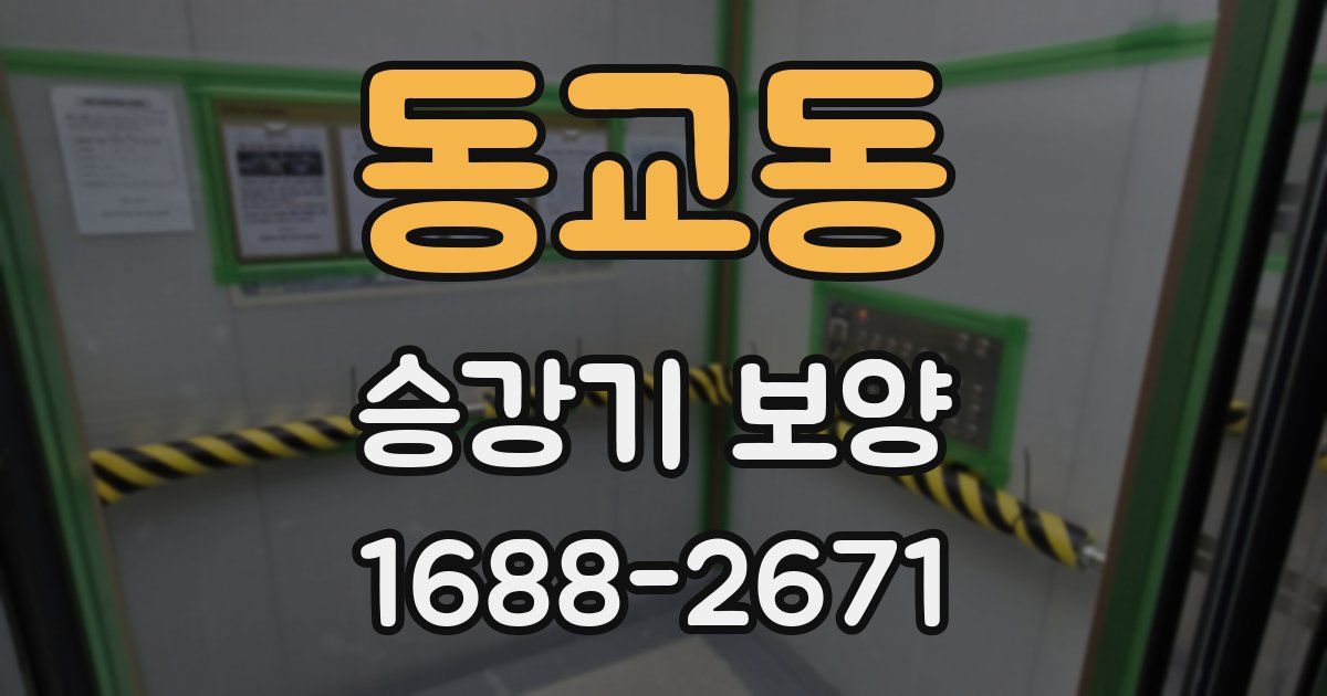 동교동 승강기 보양
