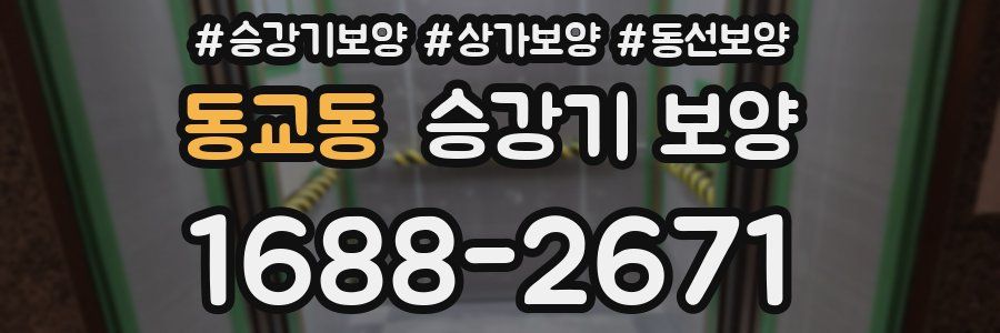 동교동 승강기 보양