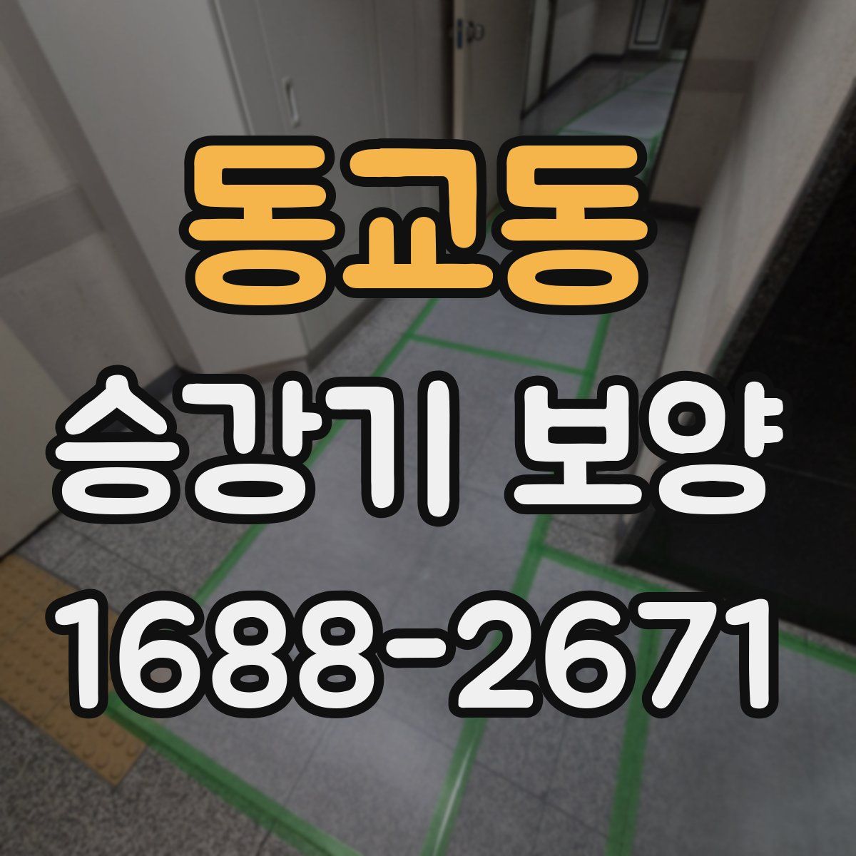 동교동 승강기 보양