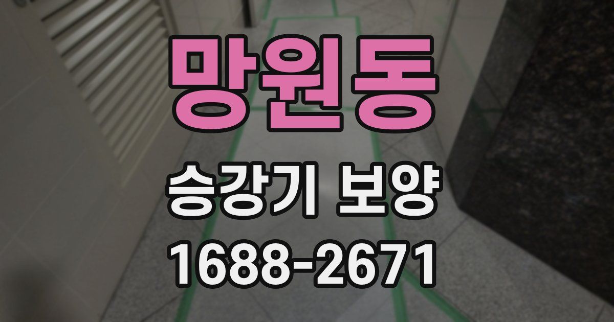 망원동 승강기 보양