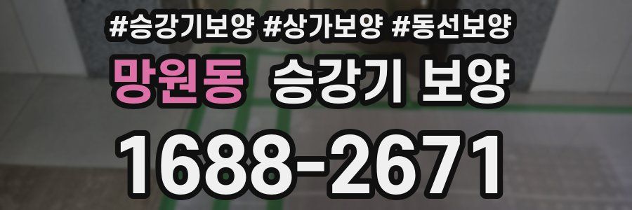 망원동 승강기 보양