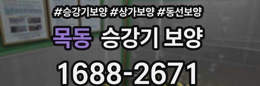 목동 승강기 보양