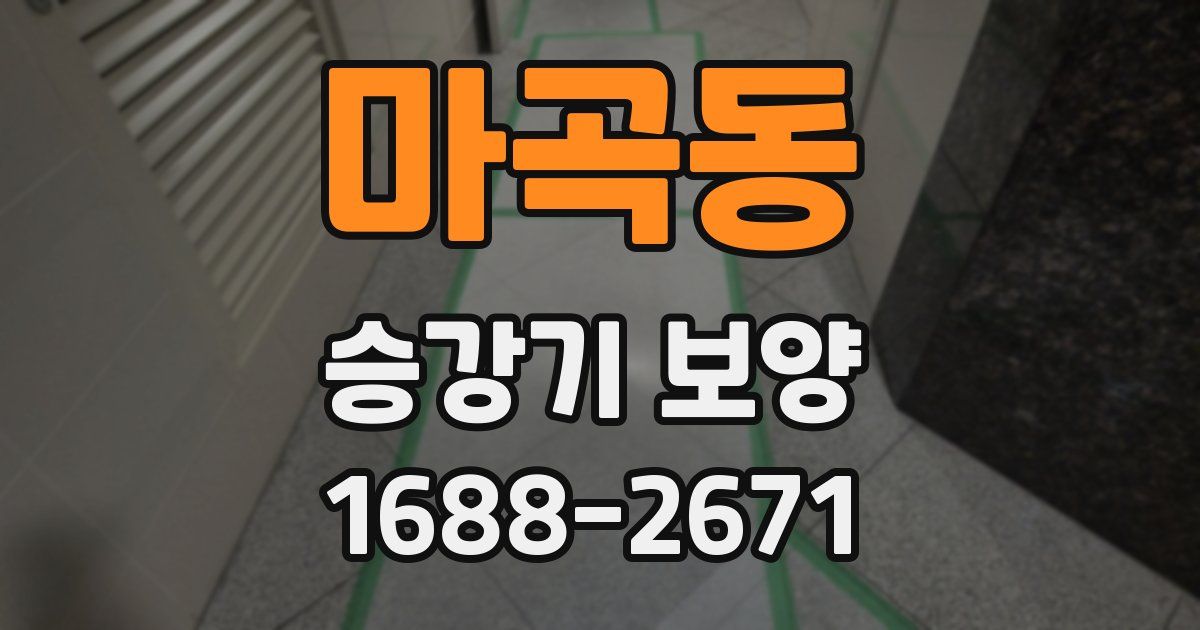 마곡동 승강기 보양